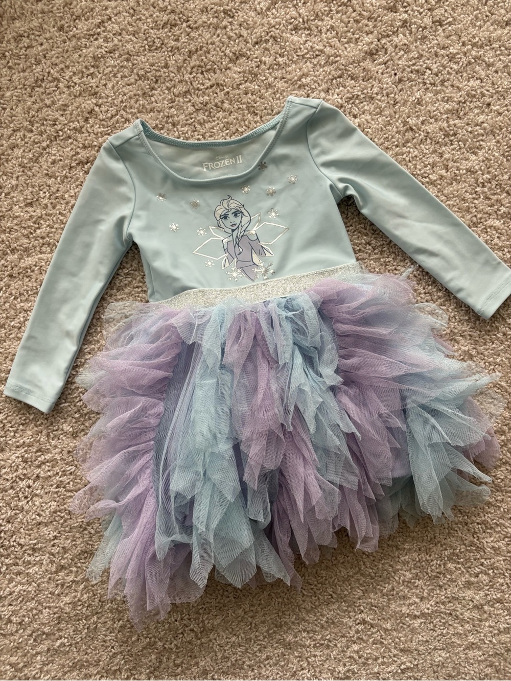Disney Elsa Light Blue Bodice with Purple & Blue Tulle Tutu Dress